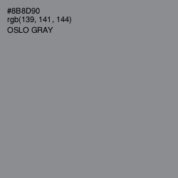 #8B8D90 - Oslo Gray Color Image